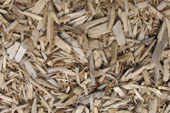 biomass boilers Shire Oak